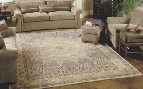 Nourison carpet